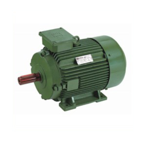 Have More Conveniences of Using Electric Motors